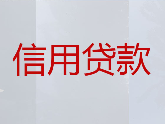 乐东贷款公司-信用贷款